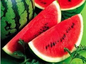 各种吃瓜网红精品小说,网红小说中的美食与爱情盛宴